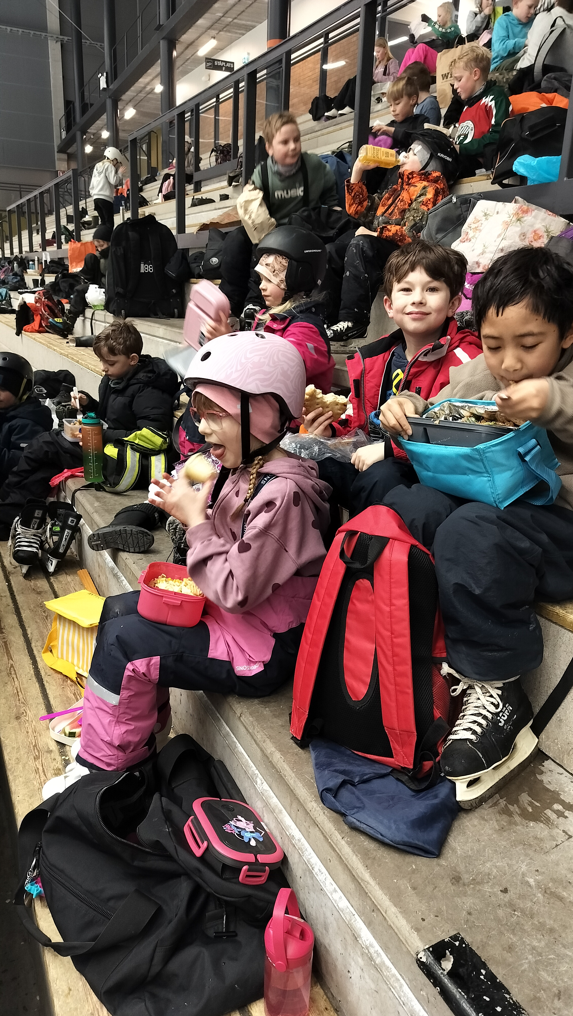 Skridskodag för F-3 bild