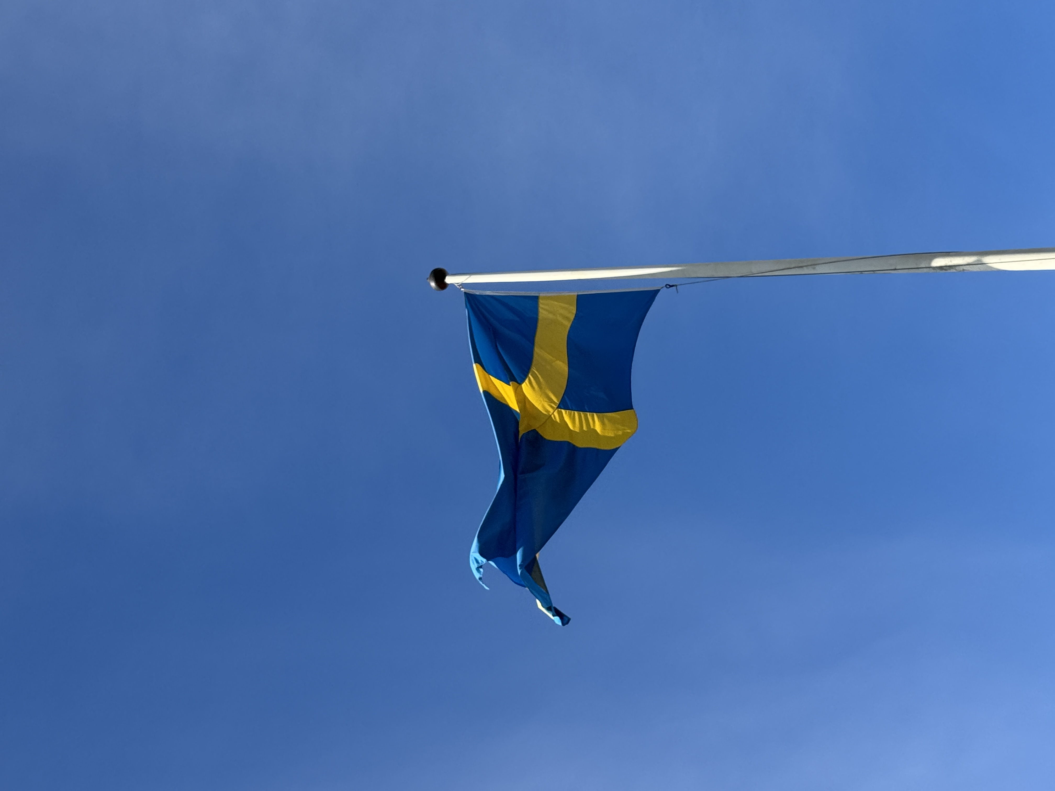 Våren välkomnas bild