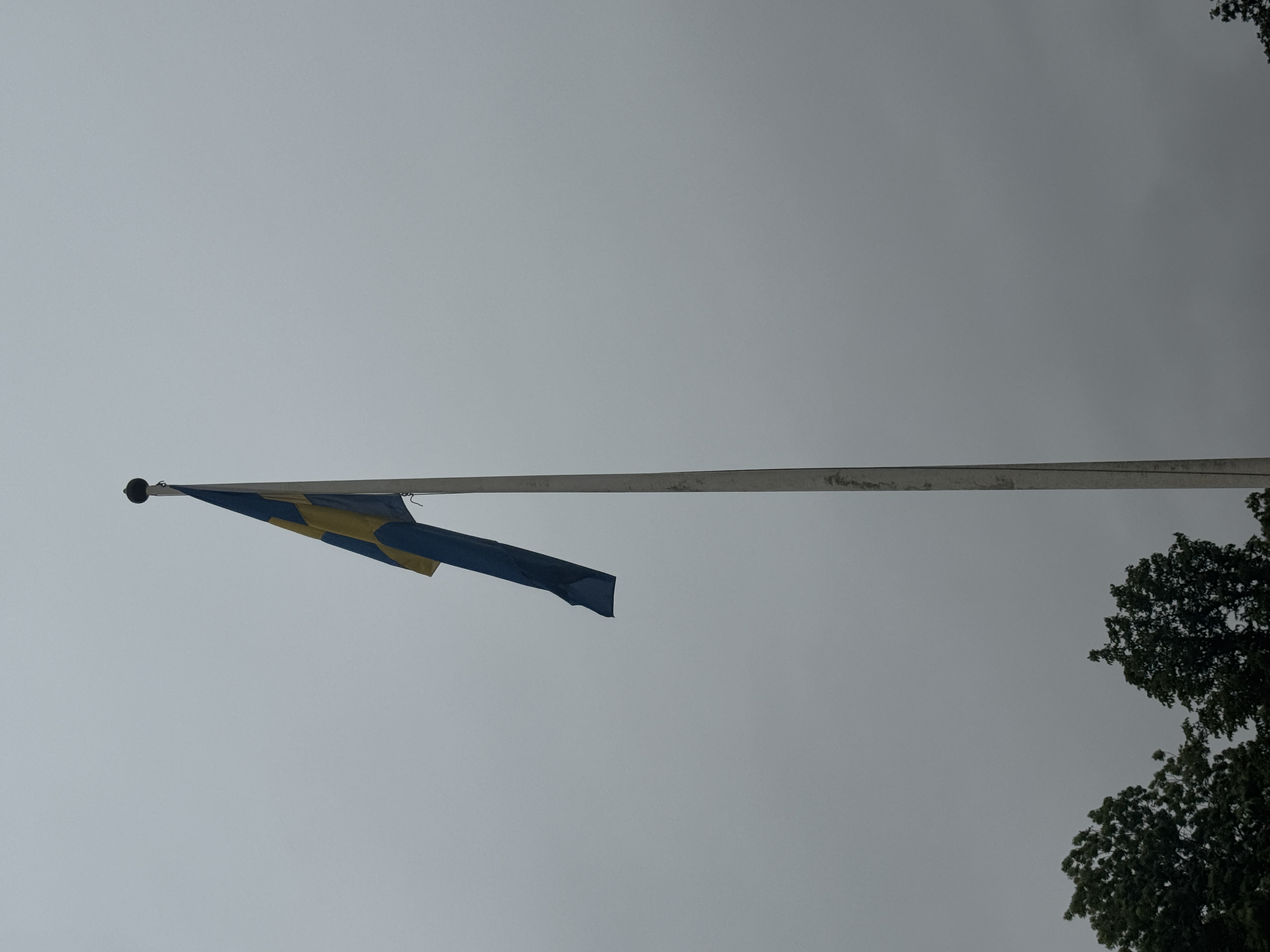 Första skoldagen bild