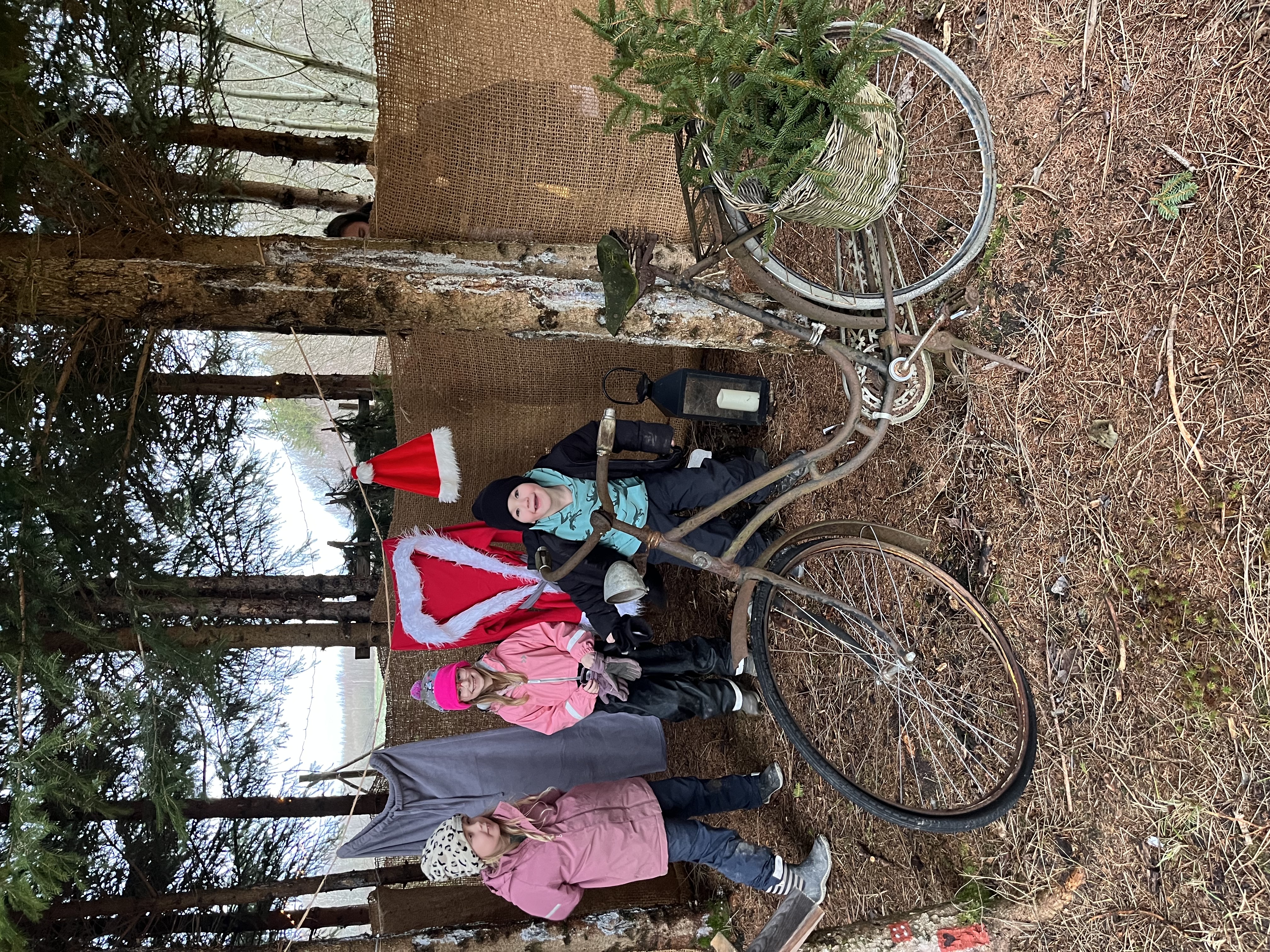 Fritids på E-Trädgård bild