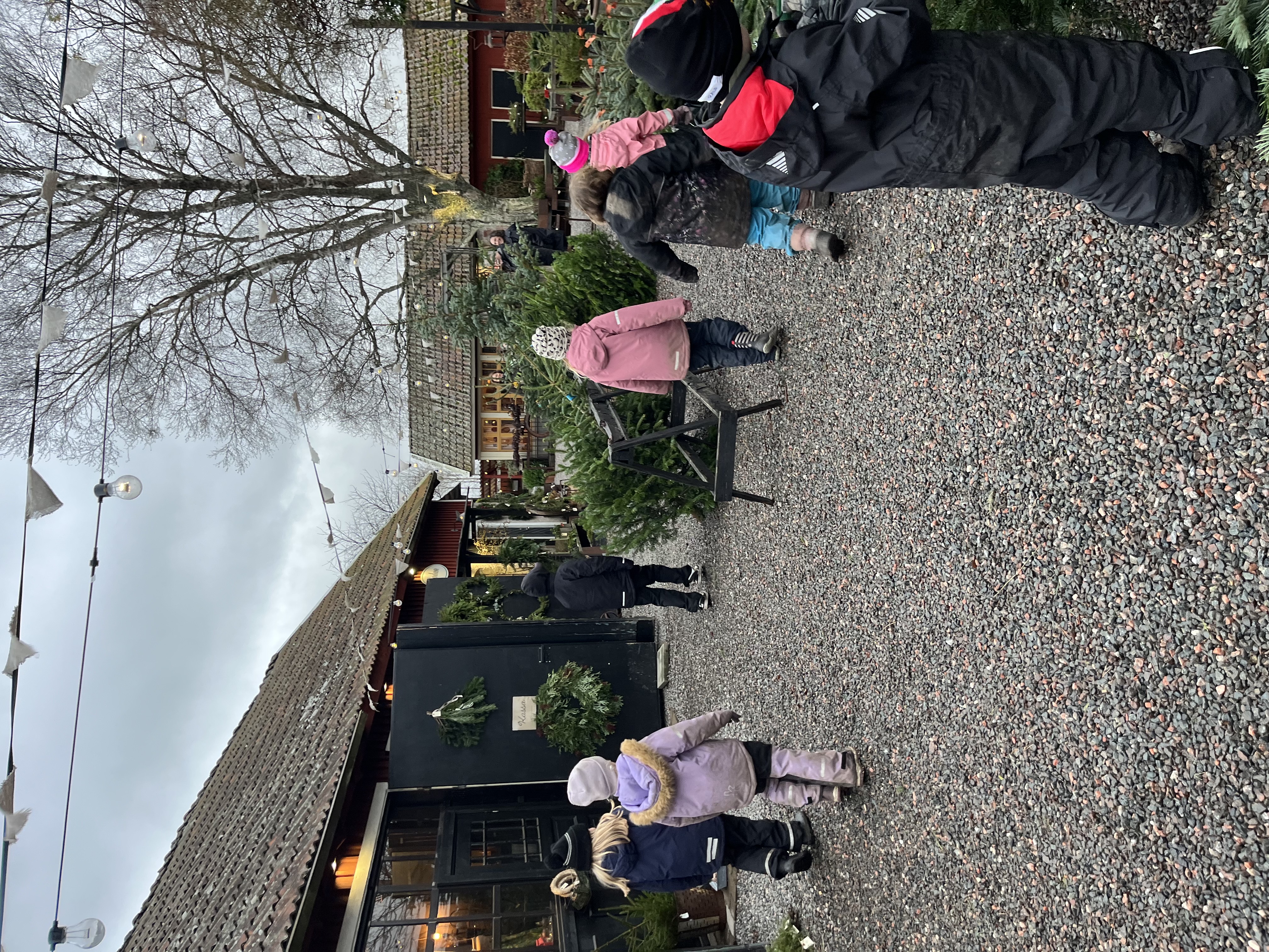 Fritids på E-Trädgård bild