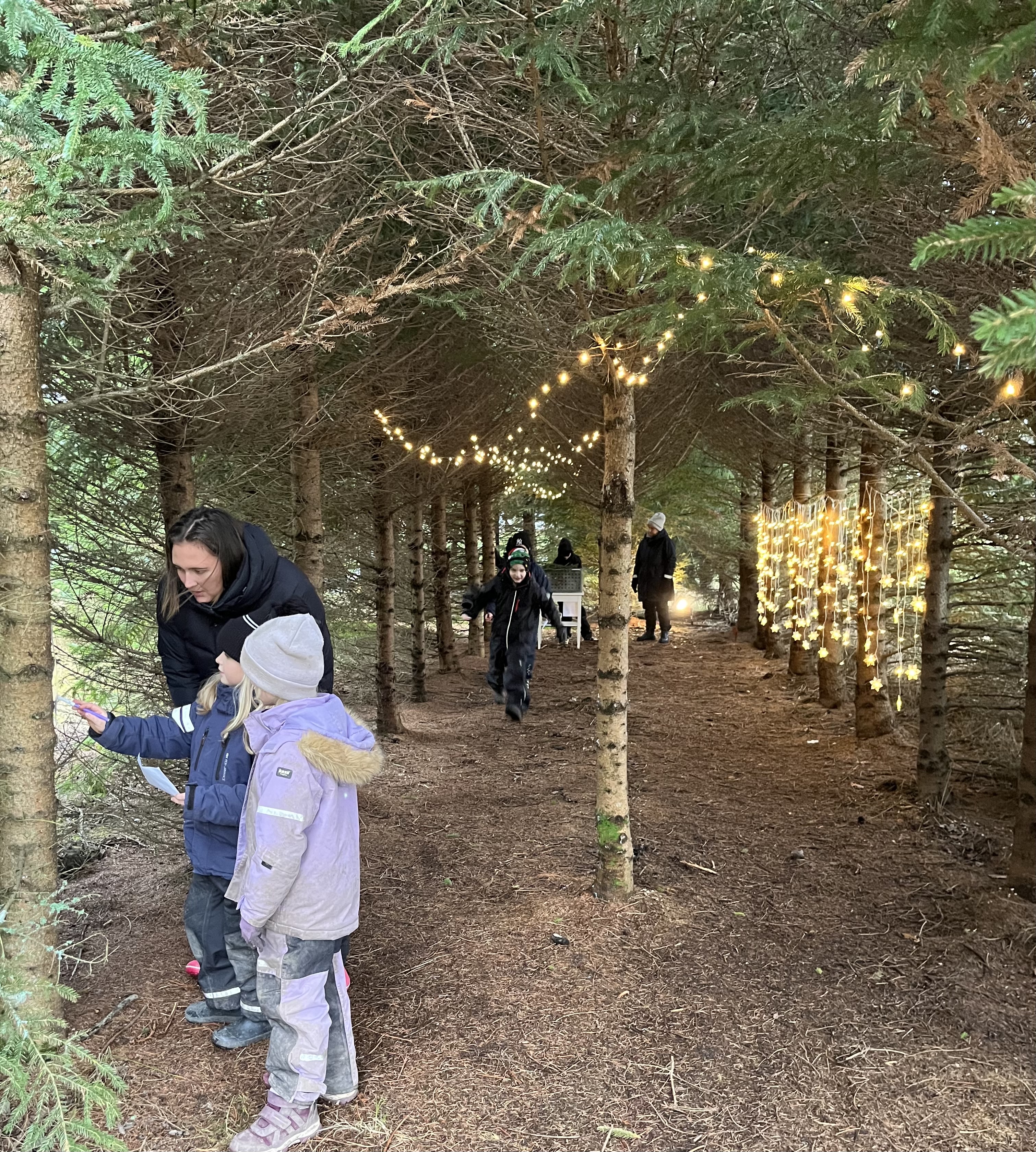 Fritids på E-Trädgård bild