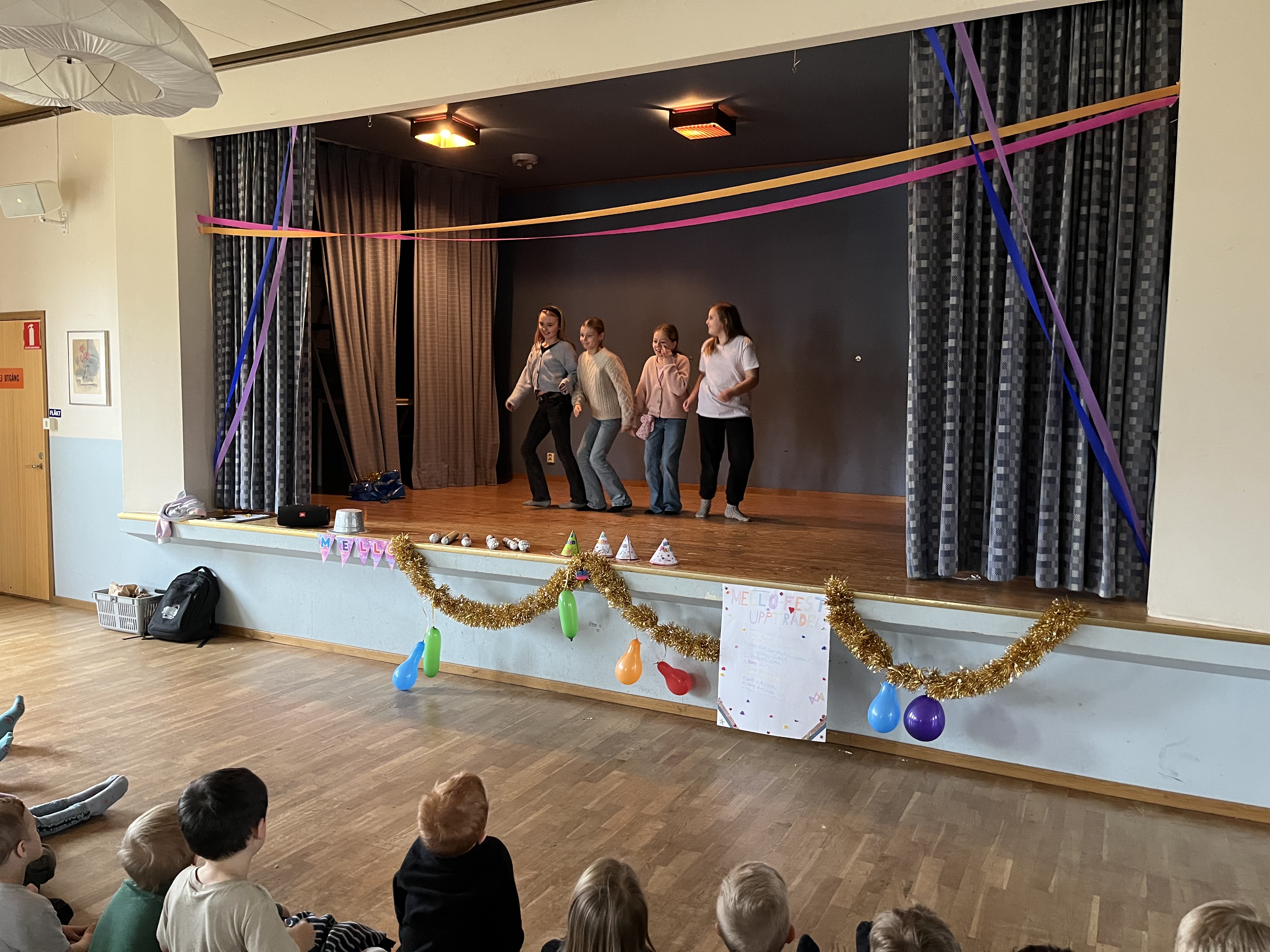 Fritidsfestival bild