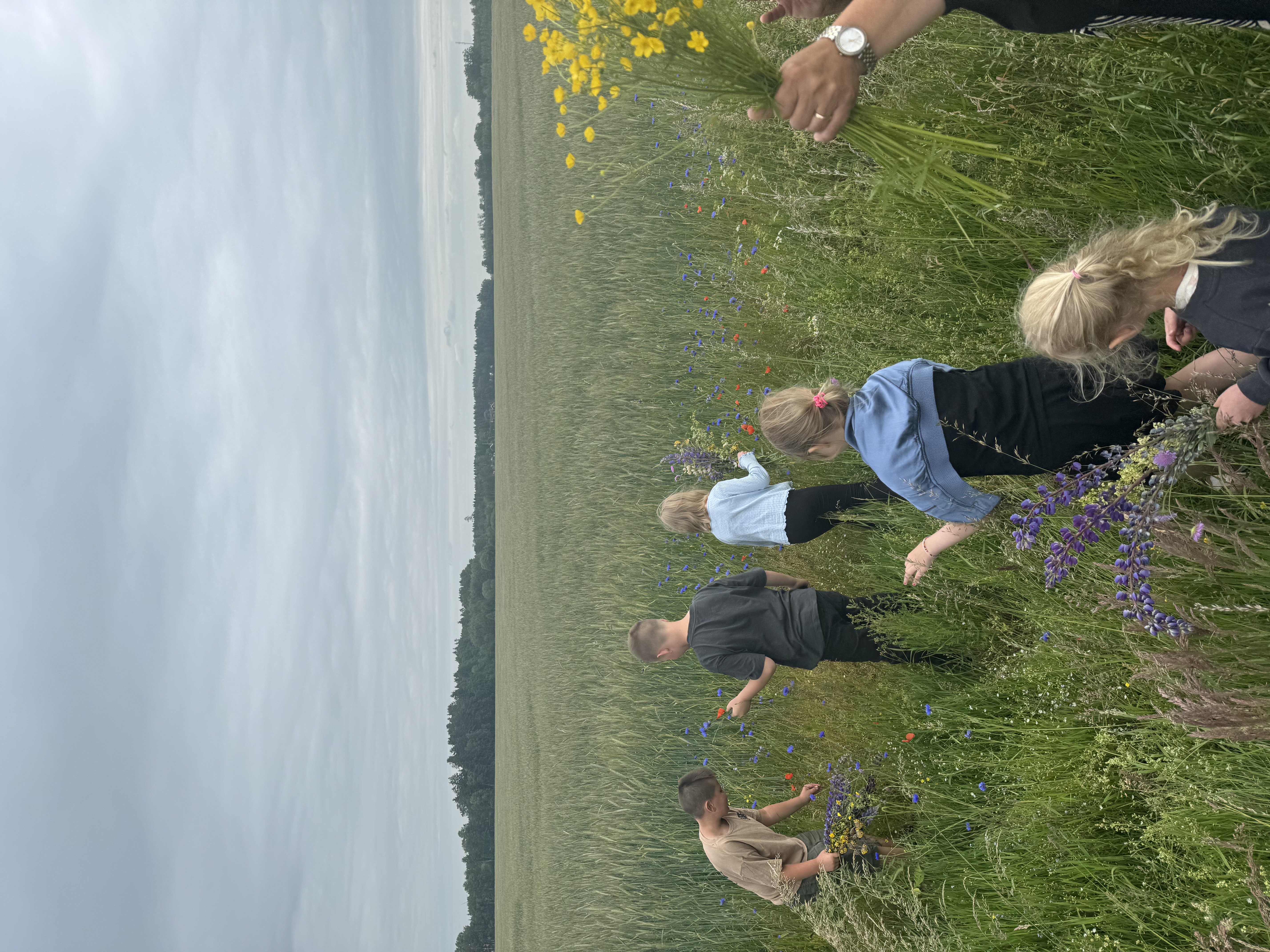 Midsommarfirande på fritids bild