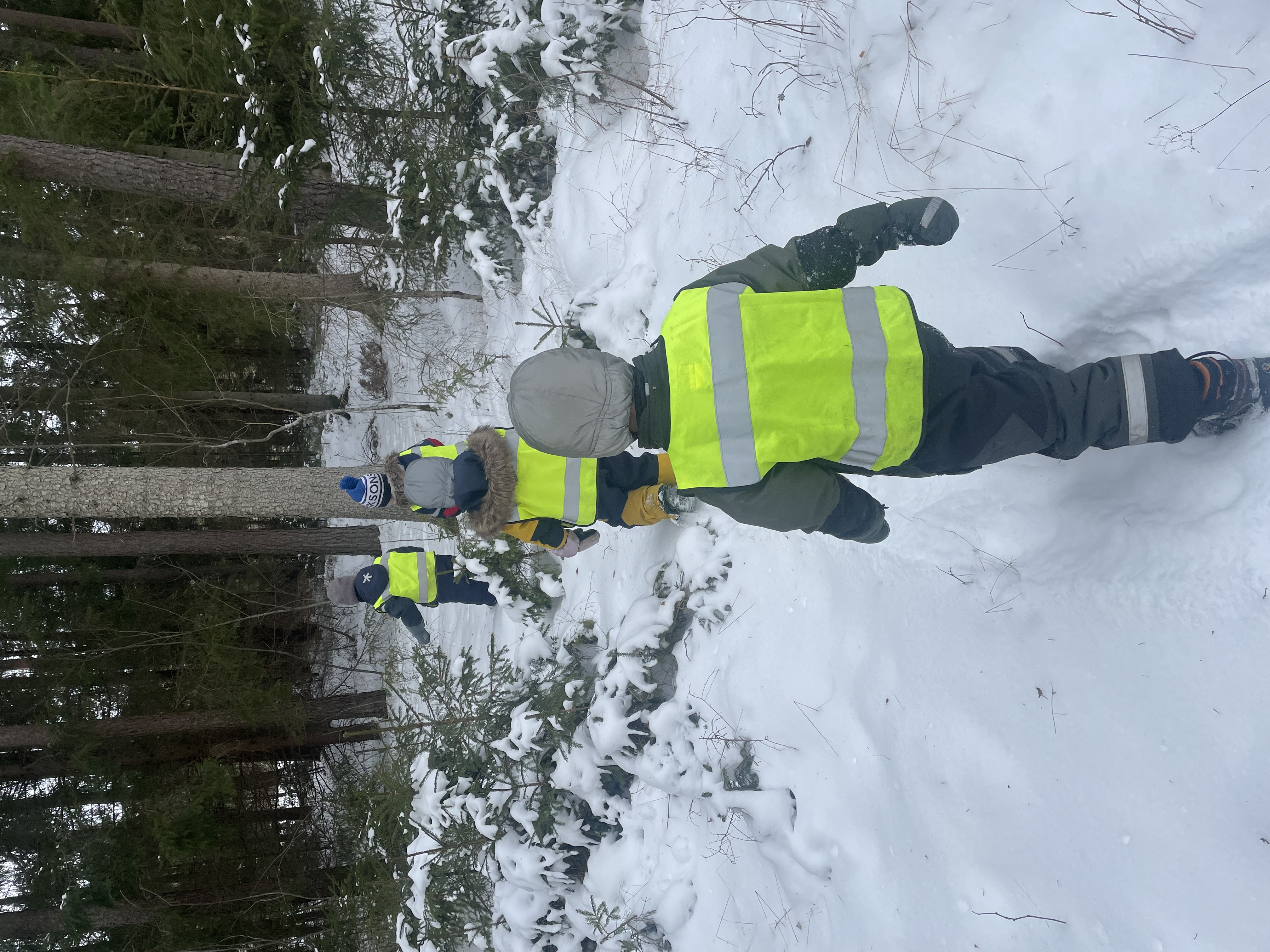 En vecka på Myrstacken✨ bild