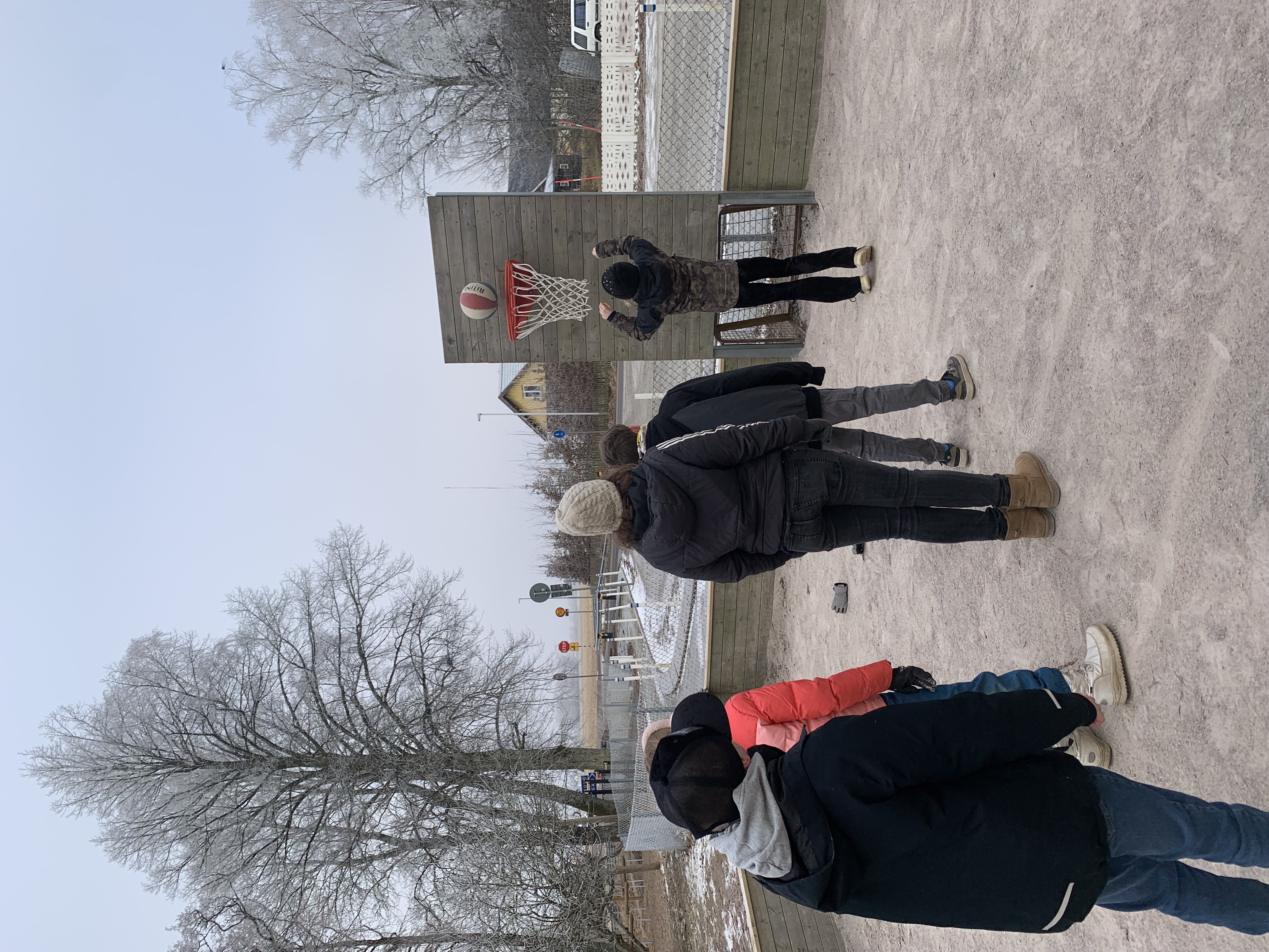 GRETA bild