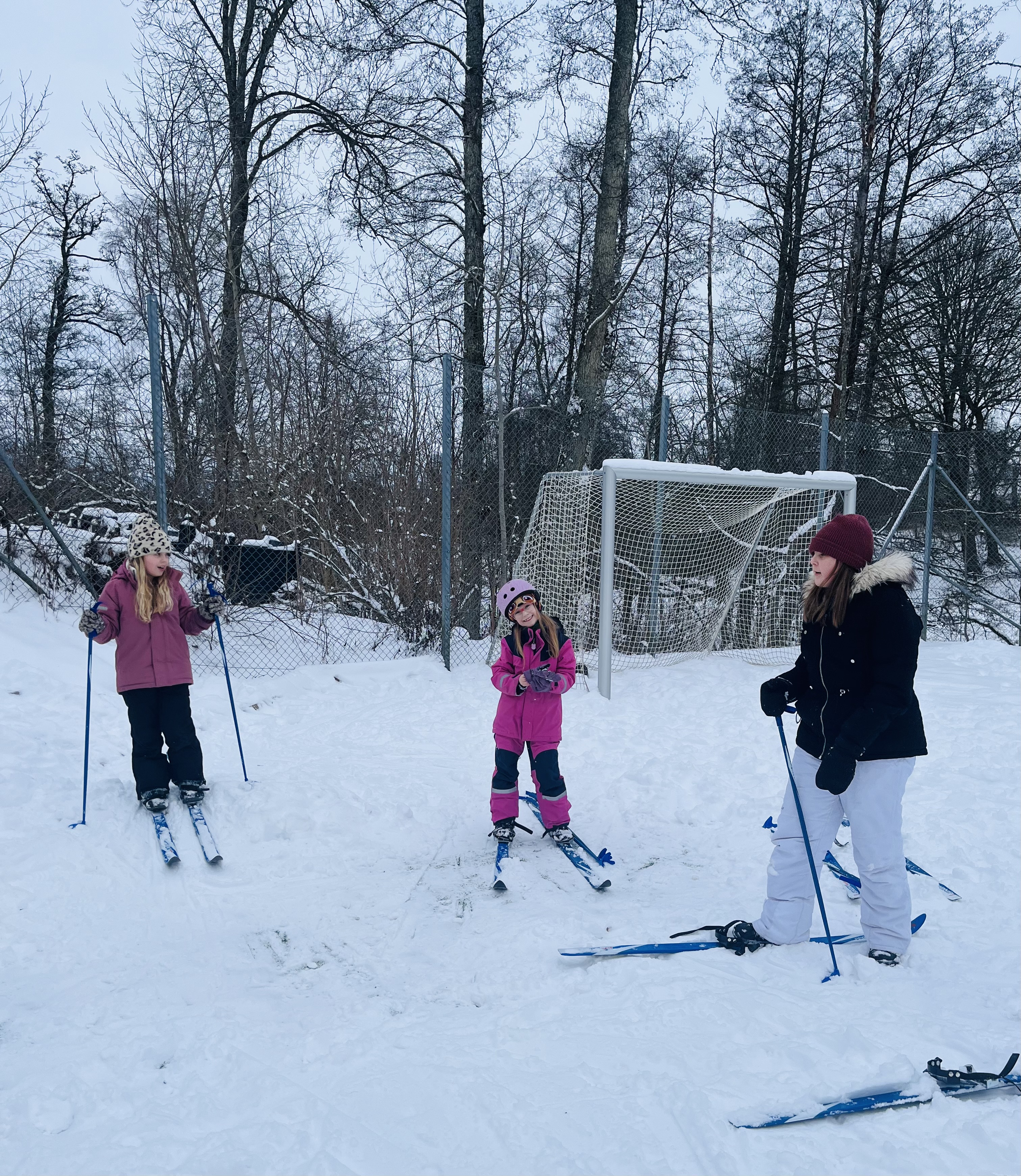Sportlov på fritids bild