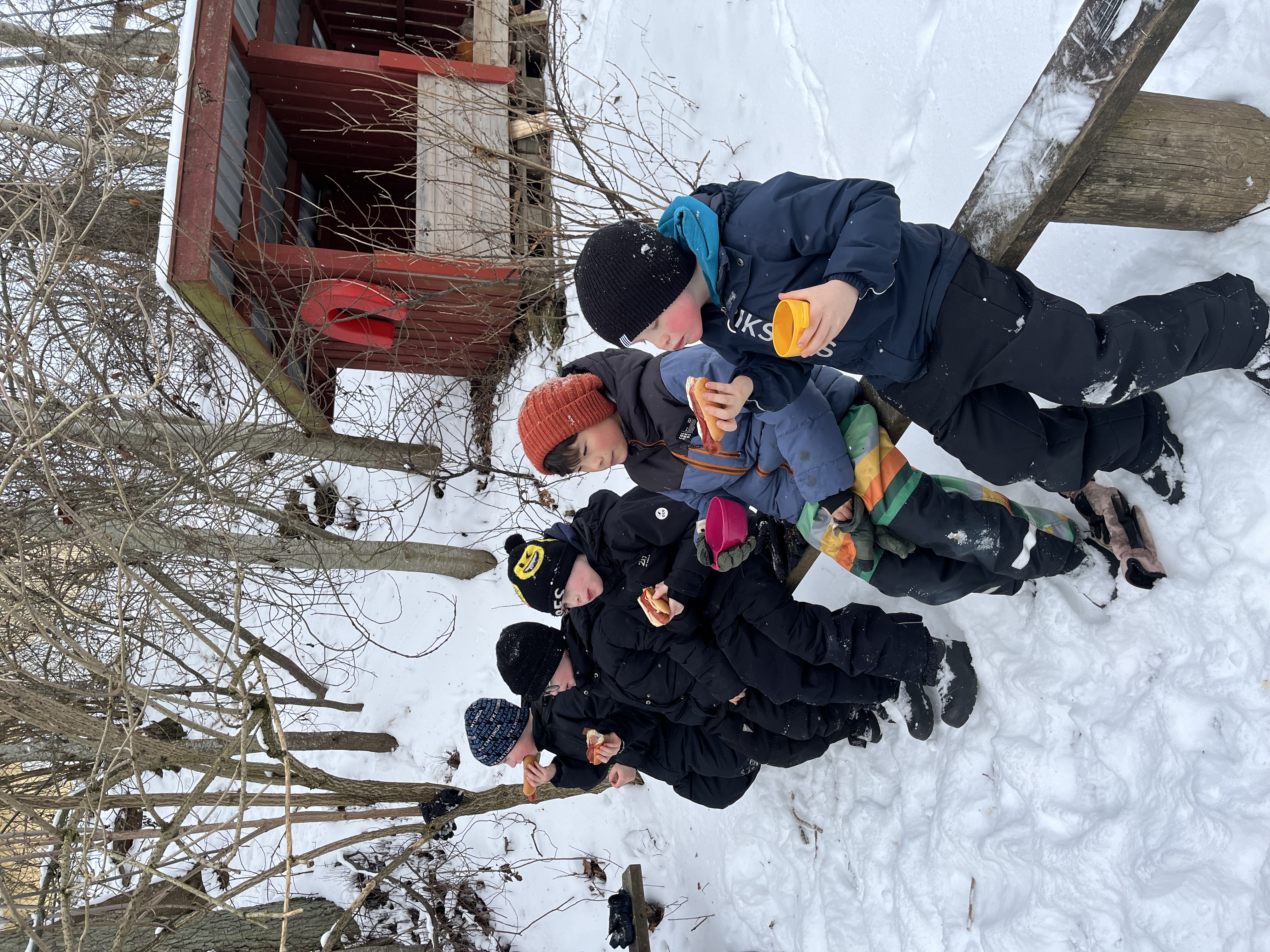 Sportlov på fritids bild