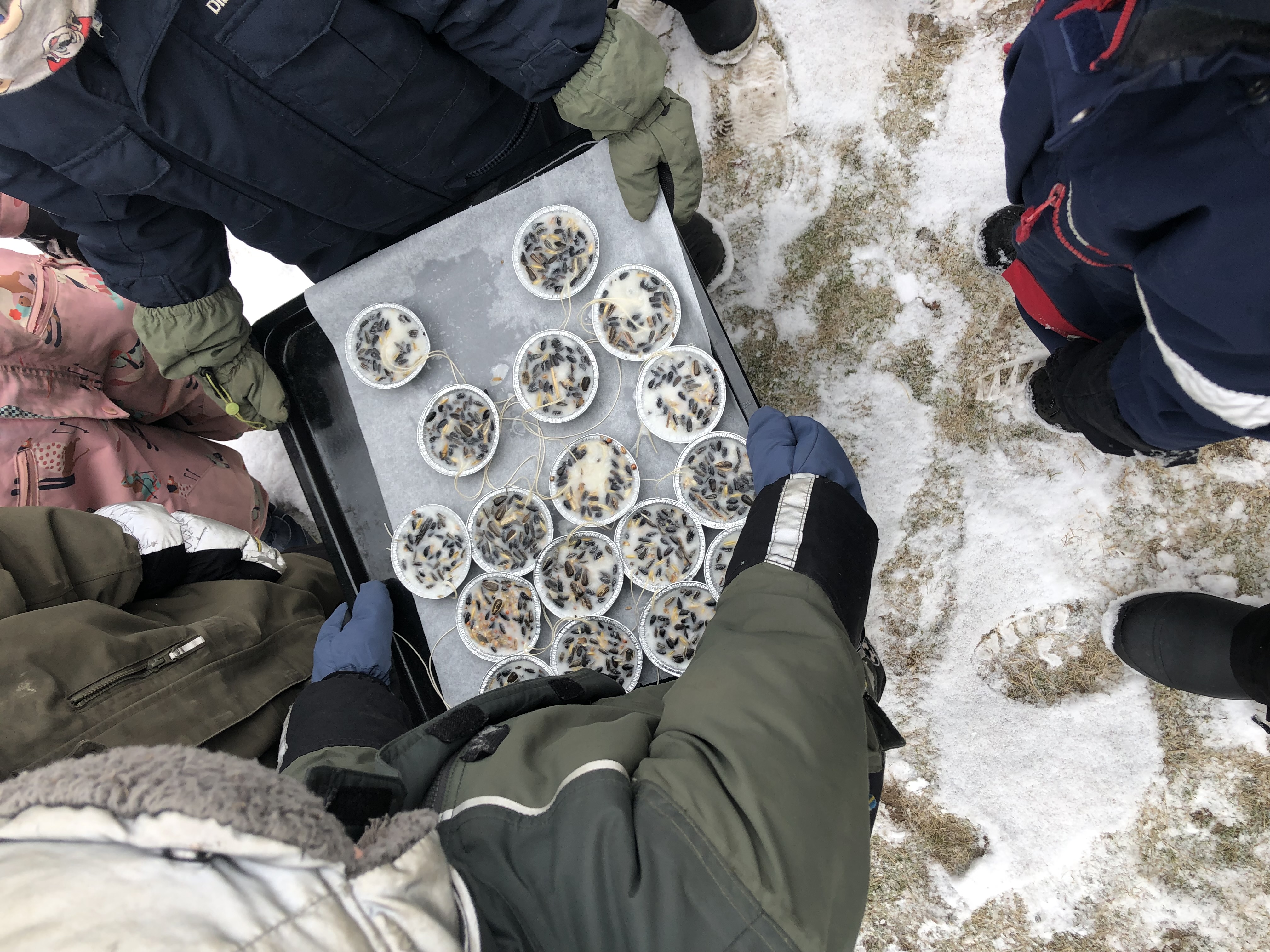 En vecka på Myrstacken✨ bild