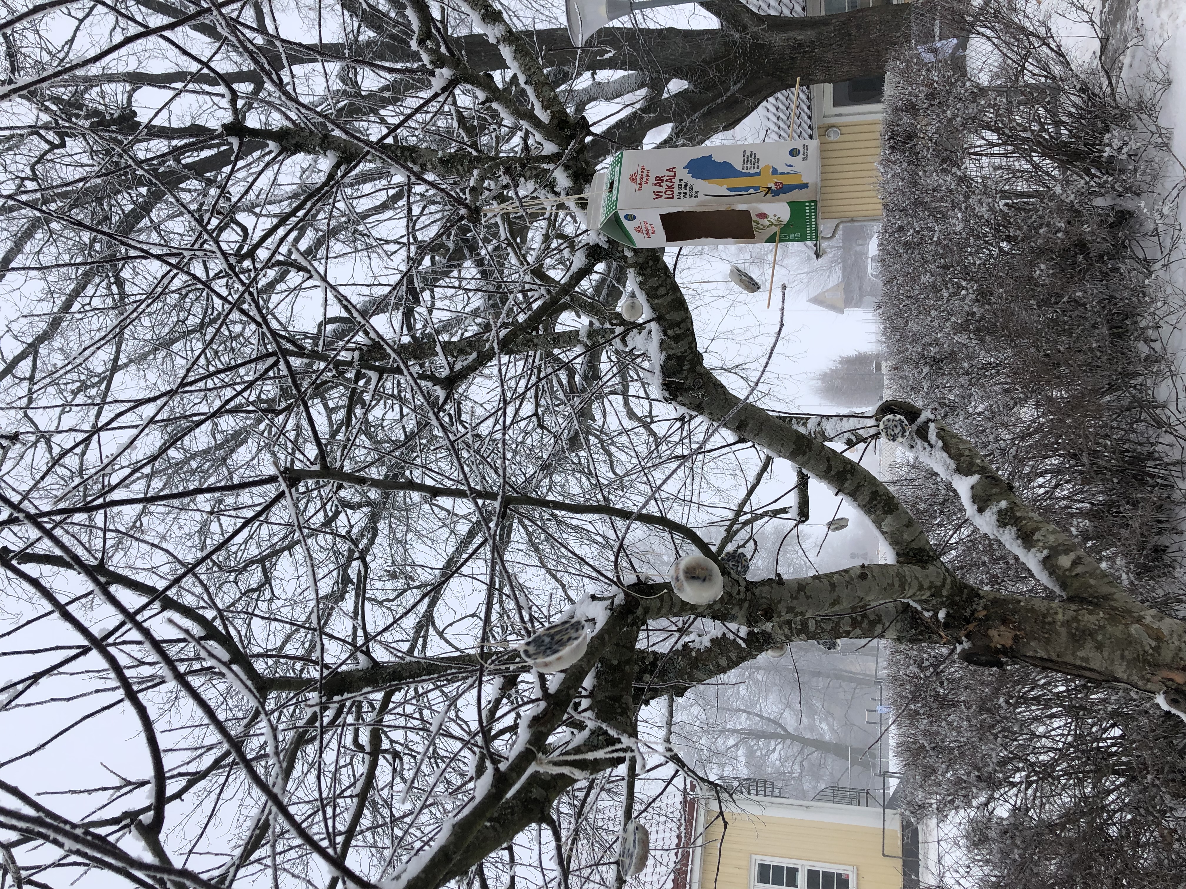 En vecka på Myrstacken✨ bild