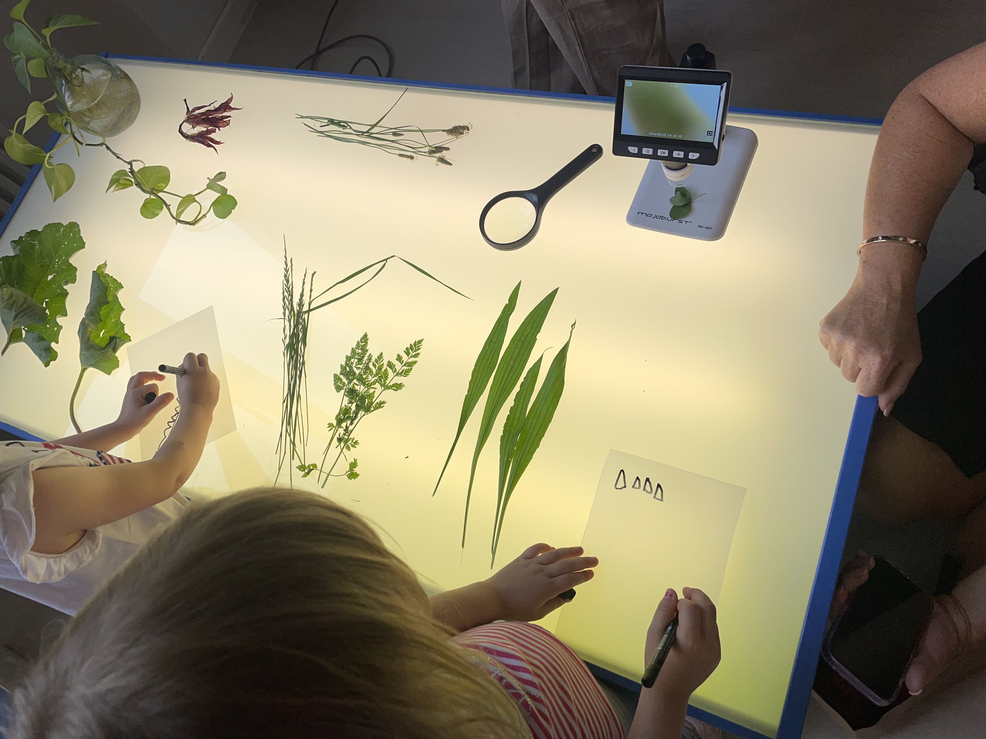 Kurs om barns kreativa lärande bild