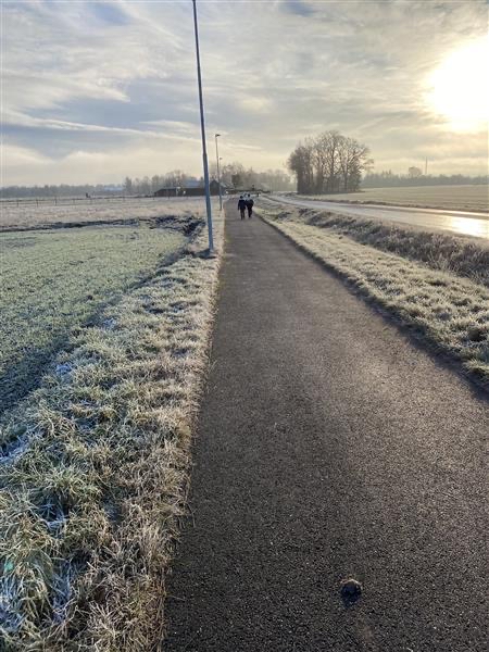 Naturdag med Globala Mål bild