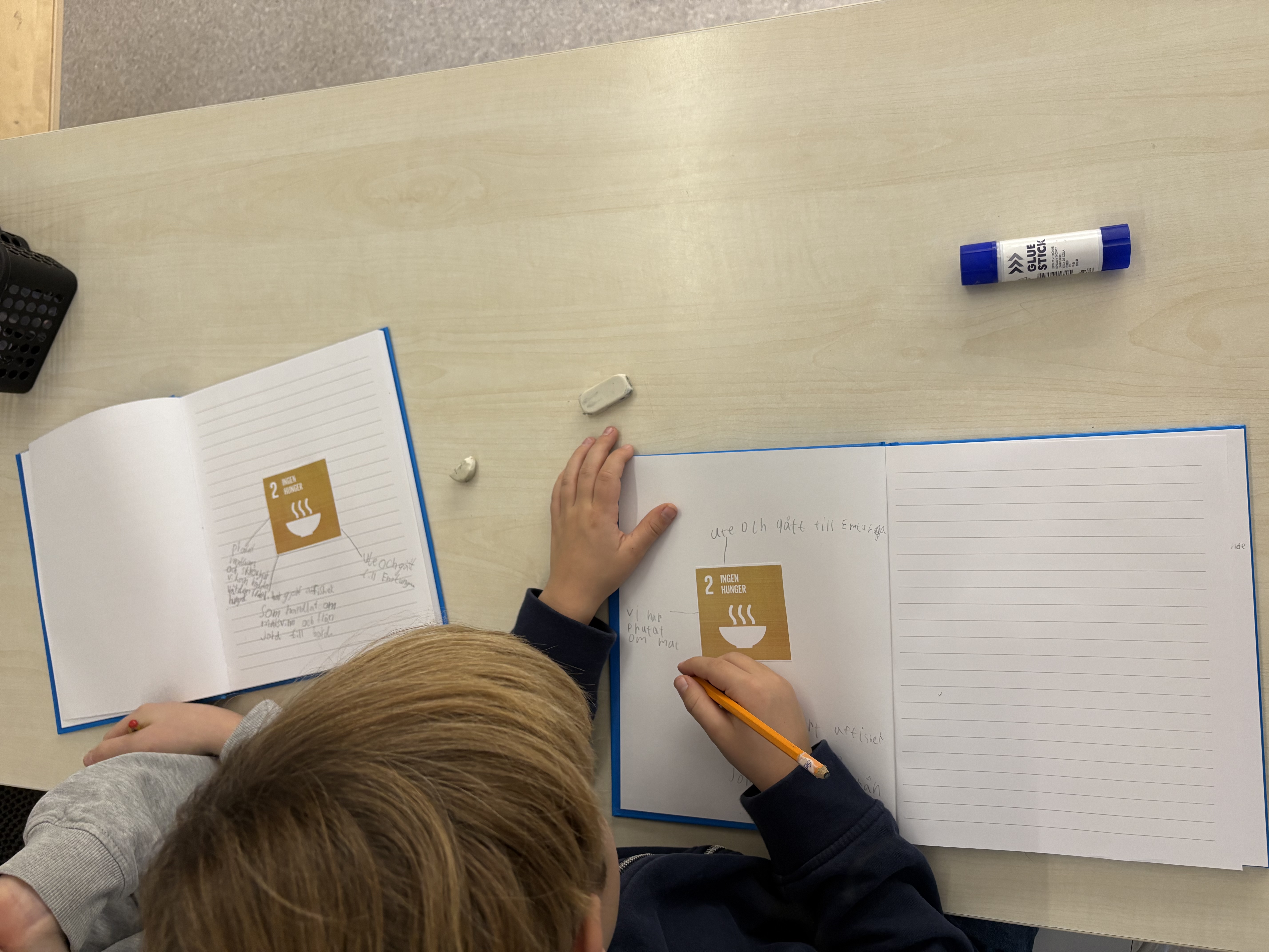 Naturdag med Globala Mål bild