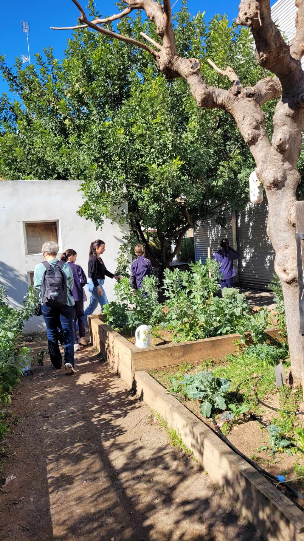 Förberedande besök i Alzira, Spanien bild